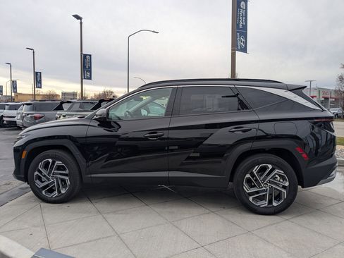 Certified 2025 Hyundai Tucson Limited image 9