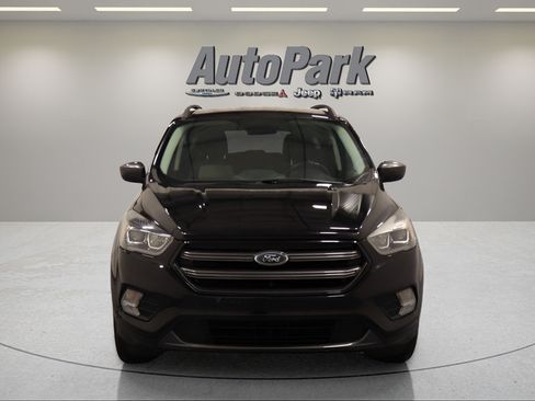 Used 2019 Ford Escape SEL AWD/4WD image 5