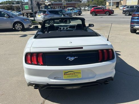 Used 2020 Ford Mustang Premium RWD image 4