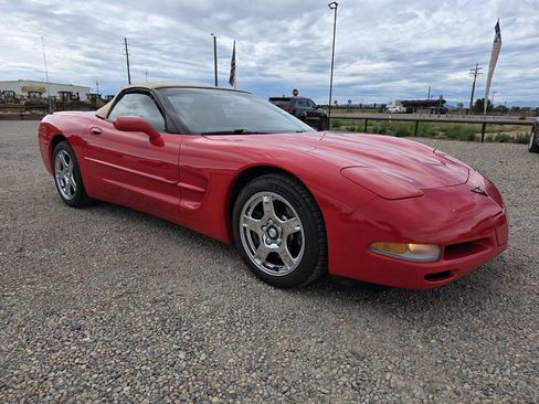 Used 1998 Chevrolet Corvette Convertible image 1