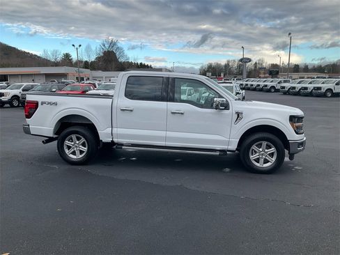 New 2025 Ford F150 XLT w/ Equipment Group 302A MID image 4