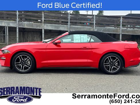 Certified 2022 Ford Mustang Premium RWD image 8