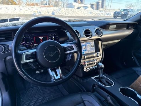 Used 2019 Ford Mustang GT Premium w/ Equipment Group 401A image 14