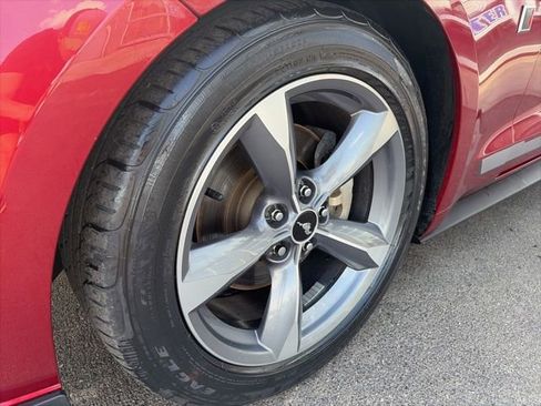 Used 2015 Ford Mustang Coupe w/ Equipment Group 051A RWD image 6