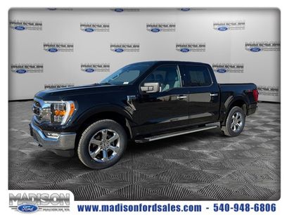 Used 2022 Ford F150 XLT w/ Equipment Group 302A High