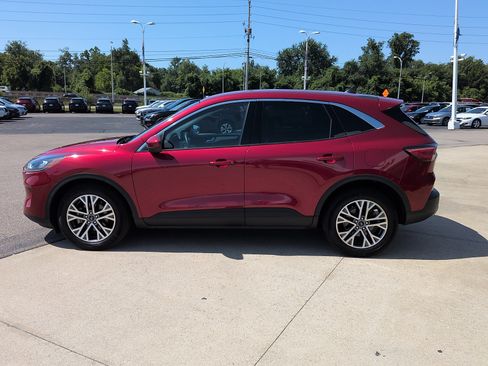 Used 2022 Ford Escape SEL FWD image 4