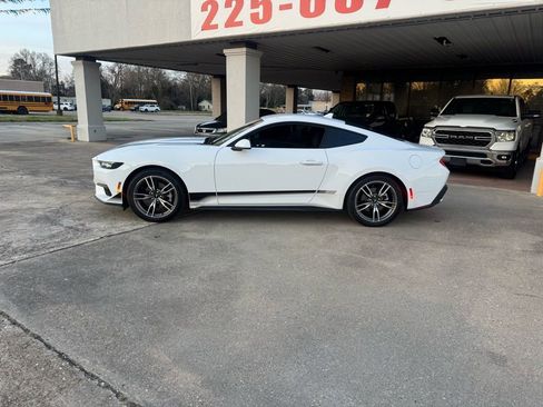 Used 2025 Ford Mustang Coupe w/ Wheel & Stripe Package image 5