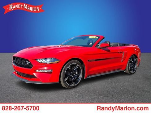 Used 2019 Ford Mustang GT Premium w/ Equipment Group 401A RWD image 1
