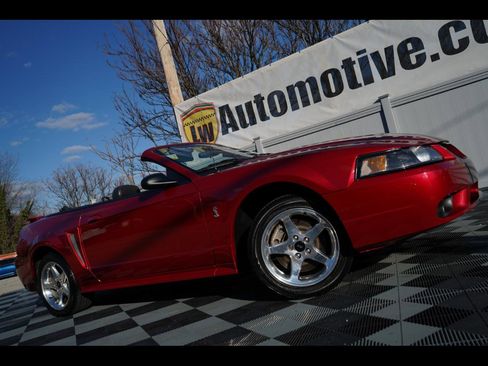 Used 2001 Ford Mustang Cobra image 1