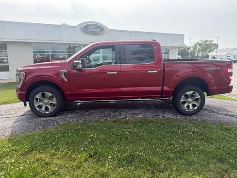 Used 2023 Ford F150 Platinum w/ Equipment Group 701A High AWD/4WD image 5