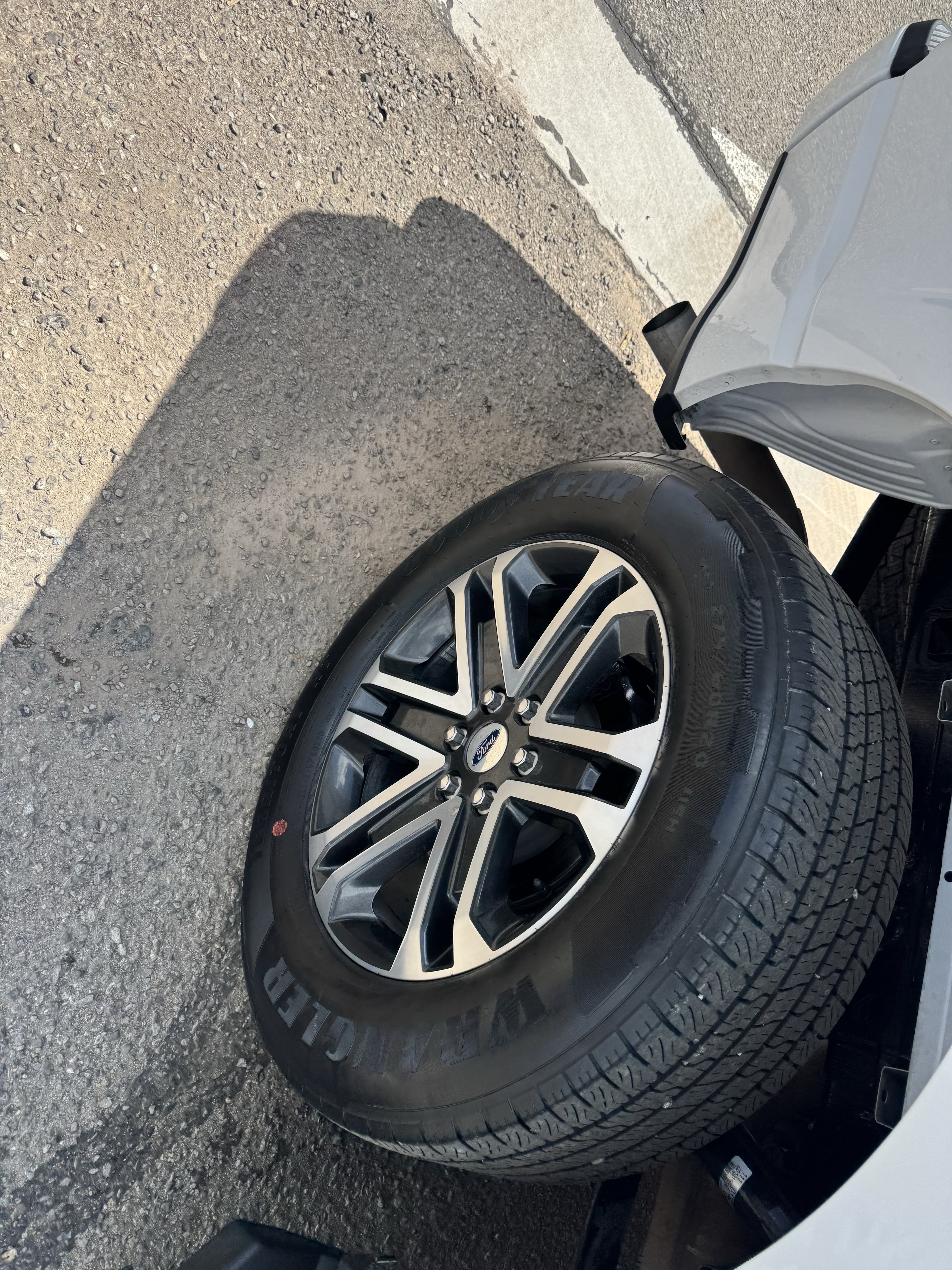 Used 2023 Ford F150 XL w/ STX Appearance Package RWD image 9