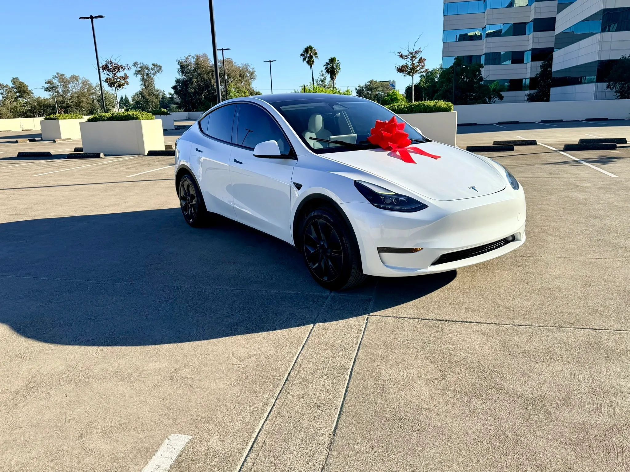 Used 2024 Tesla Model Y Long Range RWD image 18