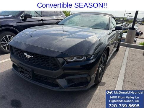 Used 2024 Ford Mustang Premium RWD image 1