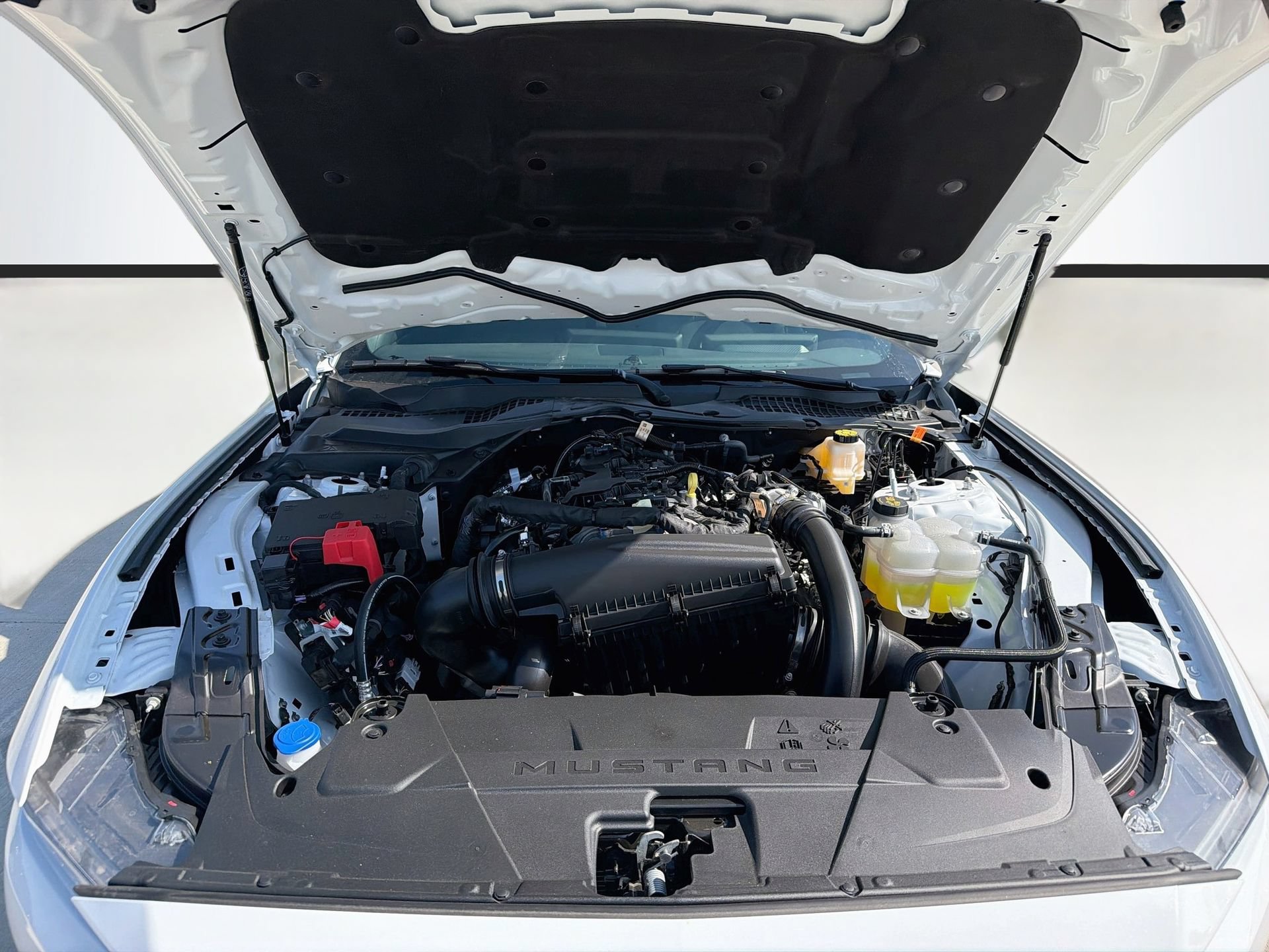 New 2026 Ford Mustang Coupe RWD image 31