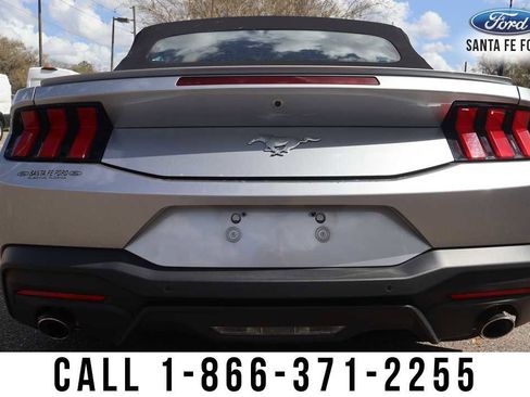 Used 2024 Ford Mustang Premium image 8