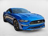 Used 2019 Ford Mustang Coupe w/ Equipment Group 101A image 3