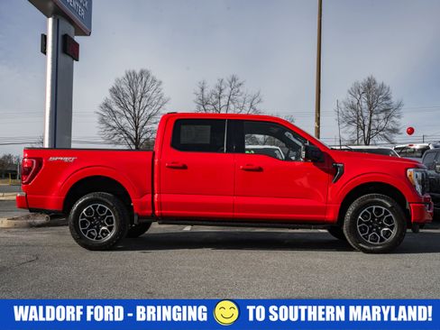 Certified 2023 Ford F150 XLT w/ Equipment Group 302A High image 3