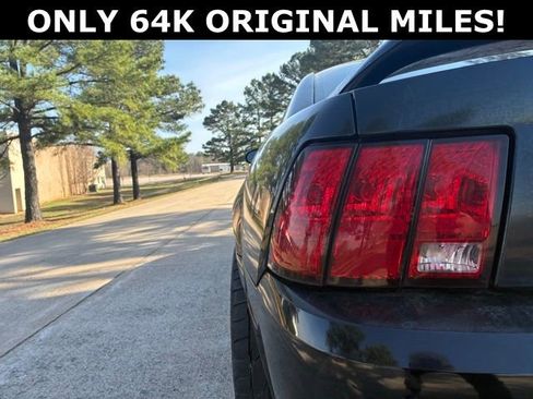 Used 2000 Ford Mustang Coupe image 4