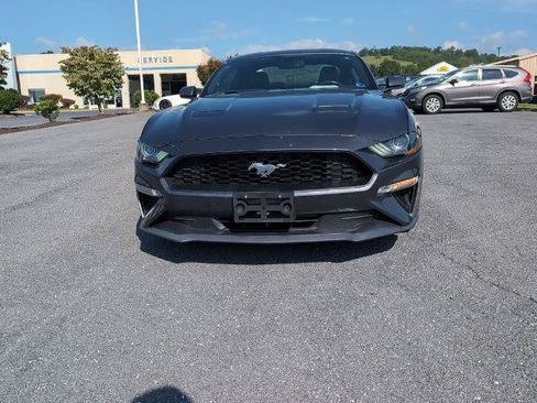 Certified 2019 Ford Mustang Premium RWD image 2