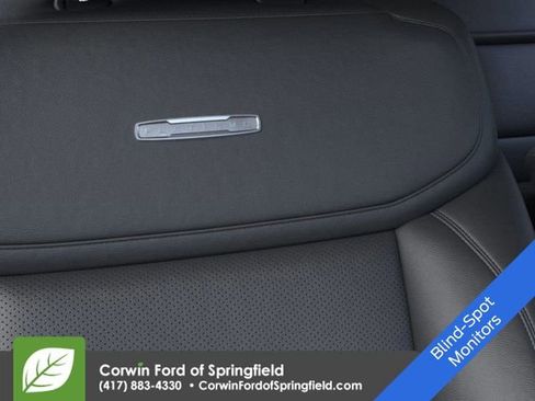 New 2026 Ford Expedition Platinum w/ Stealth Appearance Package image 16