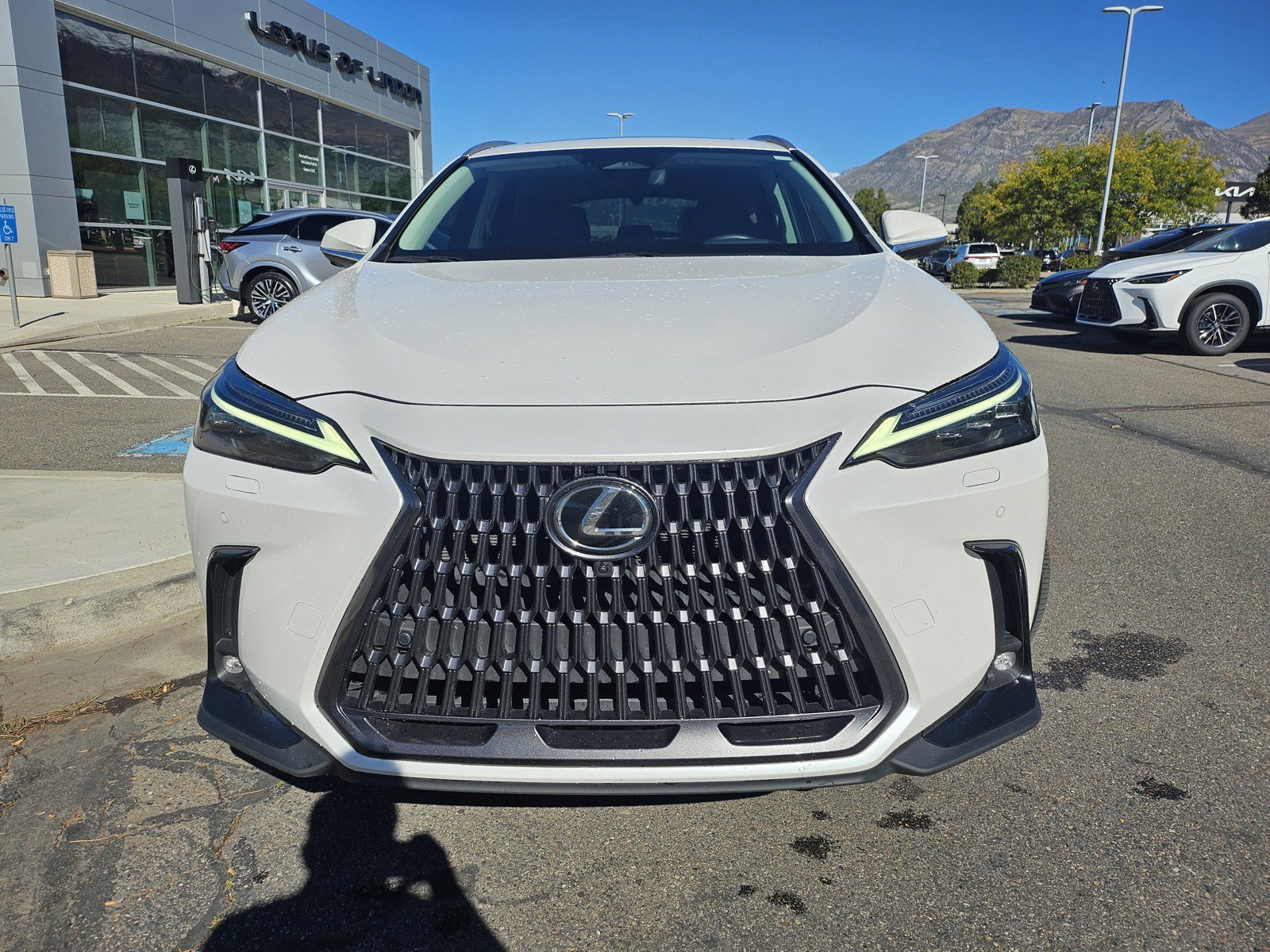 Used 2024 Lexus NX 350 AWD w/ Vision Package image 2