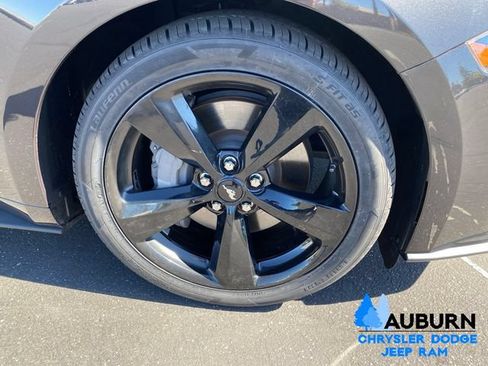 Used 2022 Ford Mustang GT w/ Equipment Group 301A RWD image 9