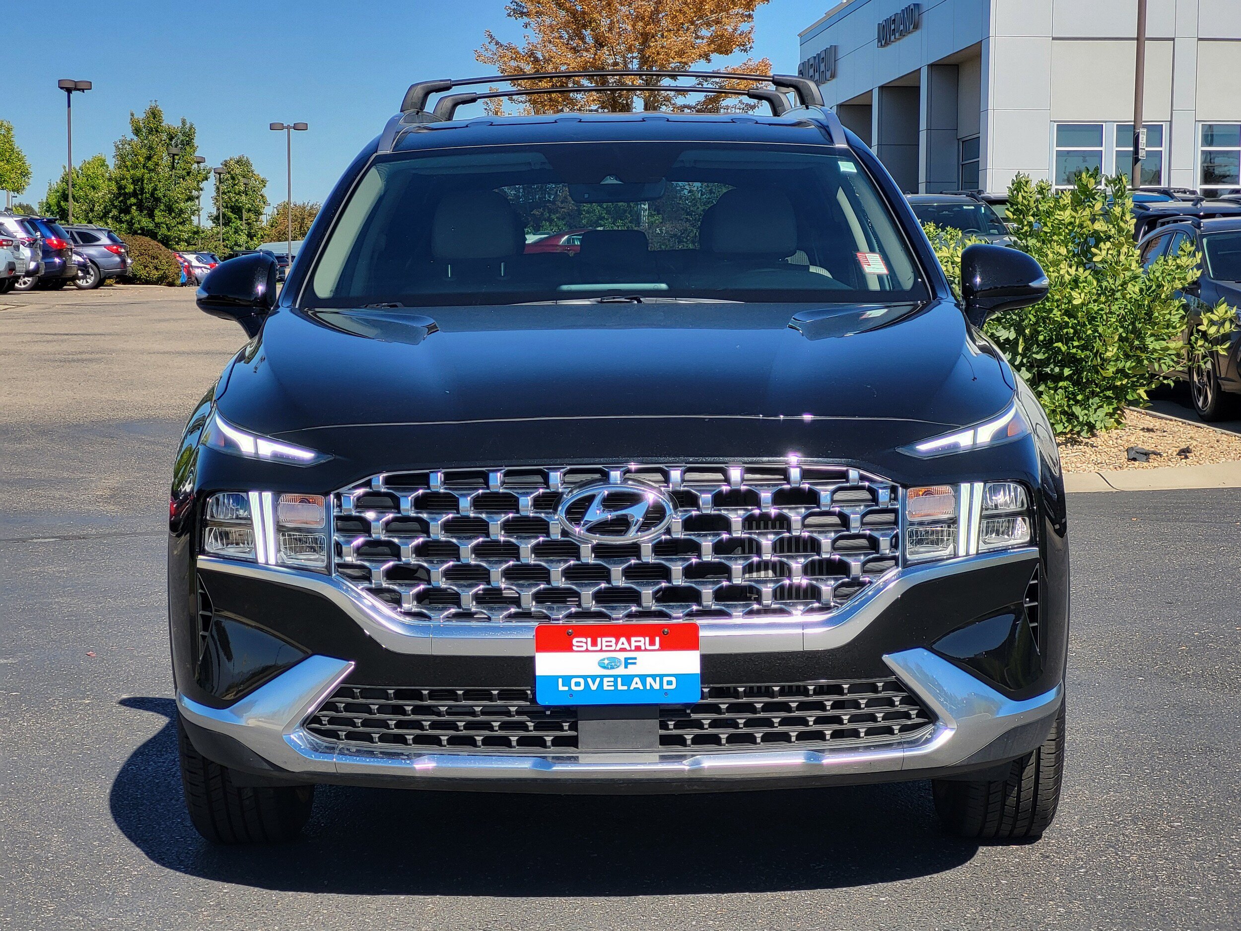 Used 2023 Hyundai Santa Fe Blue AWD/4WD image 2