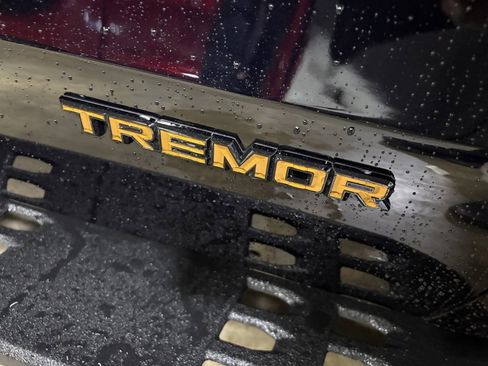 New 2025 Ford Expedition Tremor image 31