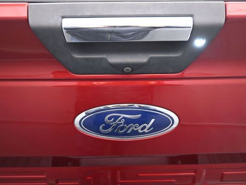 Used 2019 Ford F150 XLT w/ Equipment Group 302A Luxury image 12