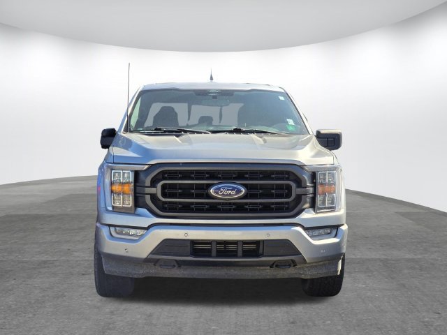 Used 2022 Ford F150 XLT w/ Equipment Group 302A High AWD/4WD image 2