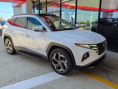 Used 2024 Hyundai Tucson Limited image 1