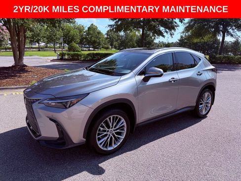 Certified 2025 Lexus NX 350 AWD w/ Cold Area Package image 3