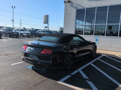 Used 2023 Ford Mustang Premium RWD image 6