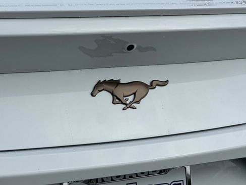 New 2026 Ford Mustang w/ Bronze Appearance Package image 25