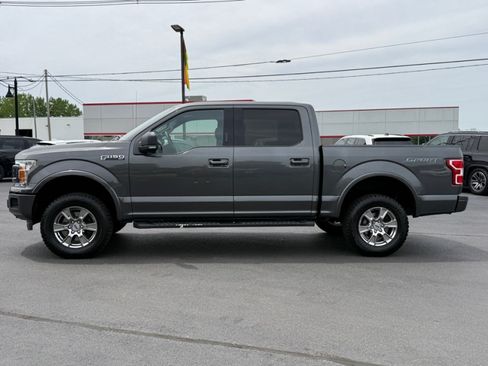 Used 2019 Ford F150 XLT w/ Equipment Group 302A Luxury AWD/4WD image 5