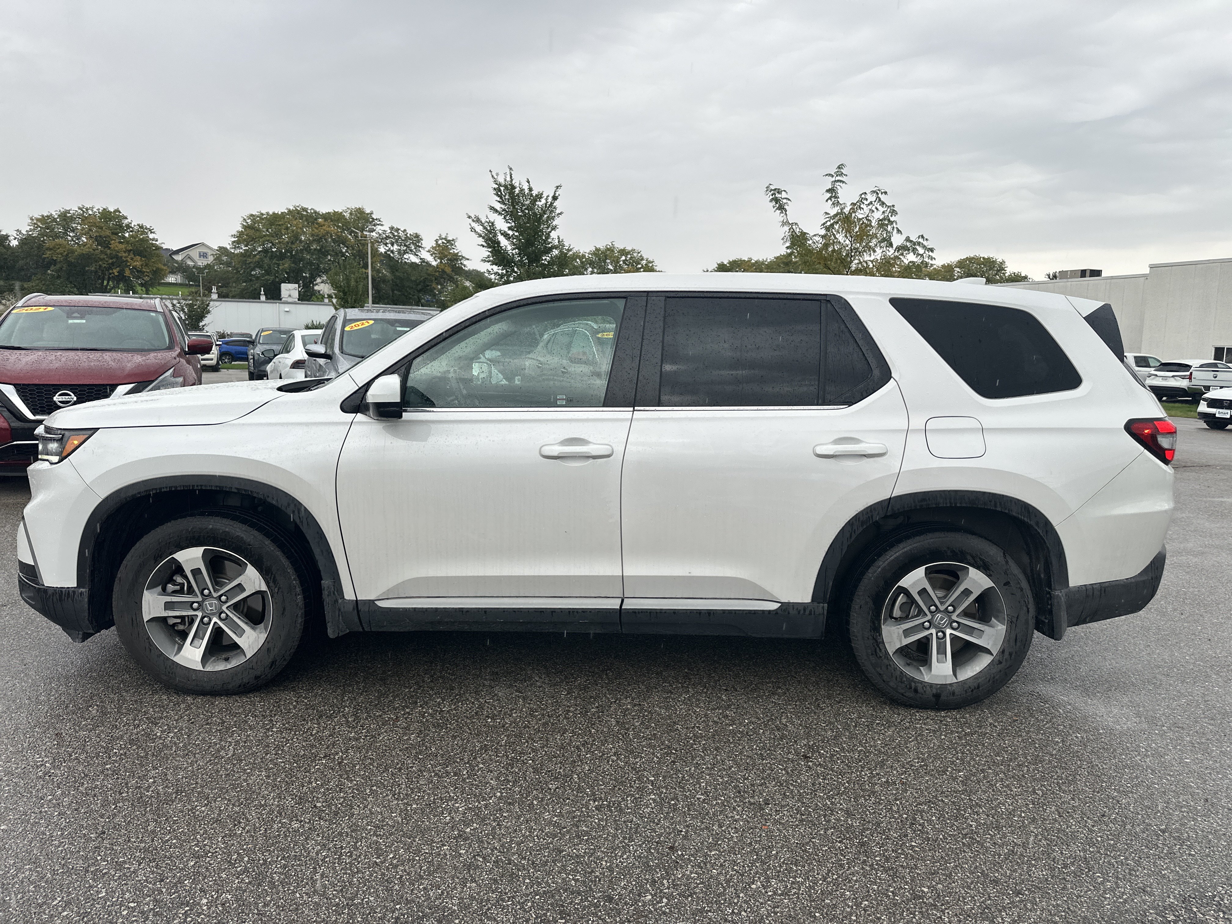 Certified 2025 Honda Pilot EX-L image 6