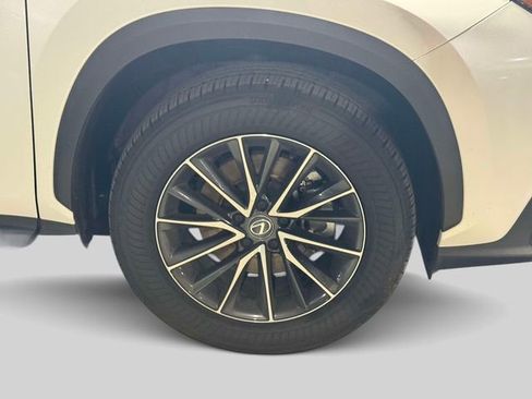 Used 2025 Lexus NX 350 AWD w/ Cold Area Package image 7