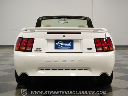 Used 2001 Ford Mustang Cobra RWD image 5