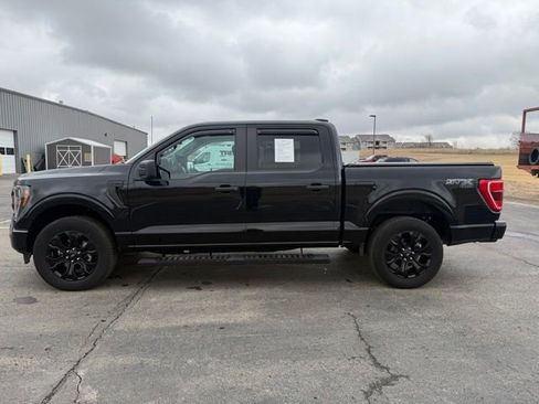 Used 2023 Ford F150 XL w/ STX Black Appearance Package image 4