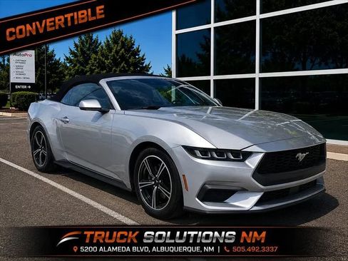 Used 2024 Ford Mustang Premium RWD image 1