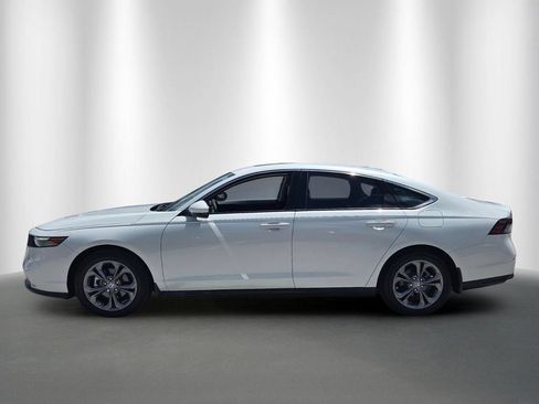 Certified 2024 Honda Accord EX image 6