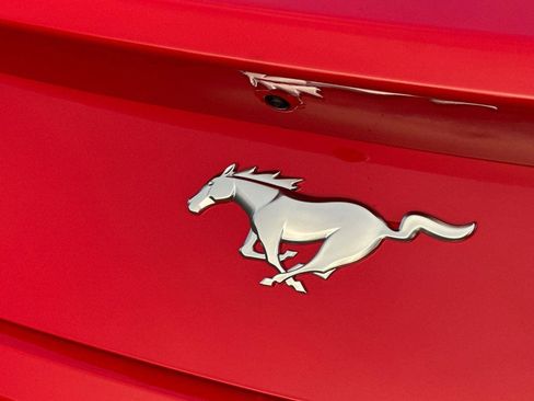 New 2026 Ford Mustang Coupe image 6