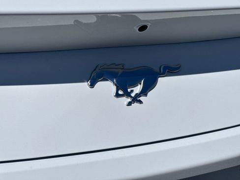 New 2025 Ford Mustang Coupe image 29