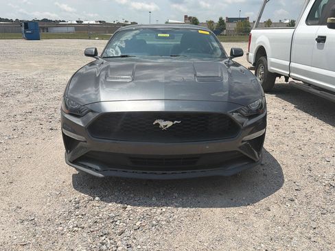 Used 2020 Ford Mustang Coupe RWD image 2