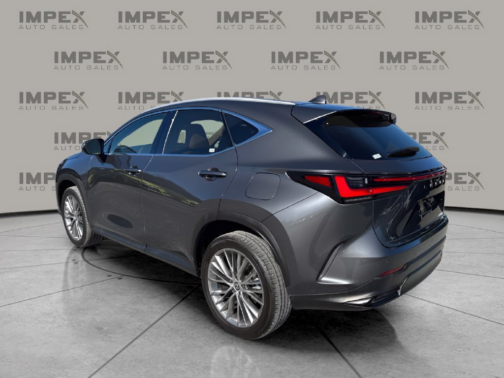 Used 2025 Lexus NX 350h AWD w/ Cold Area Package image 3