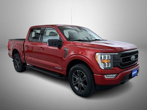 Used 2021 Ford F150 XLT w/ Equipment Group 302A High AWD/4WD image 3