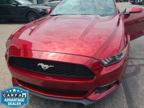 Used 2017 Ford Mustang Premium RWD image 2