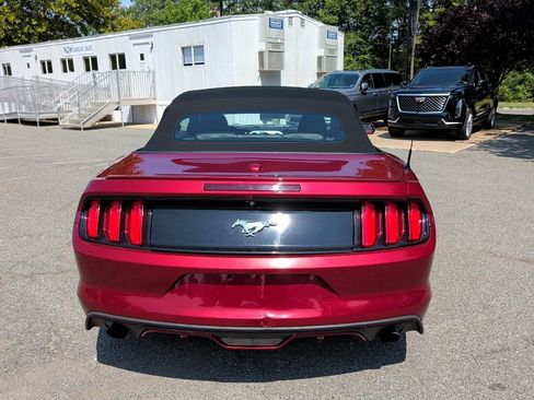 Used 2017 Ford Mustang Premium RWD image 4