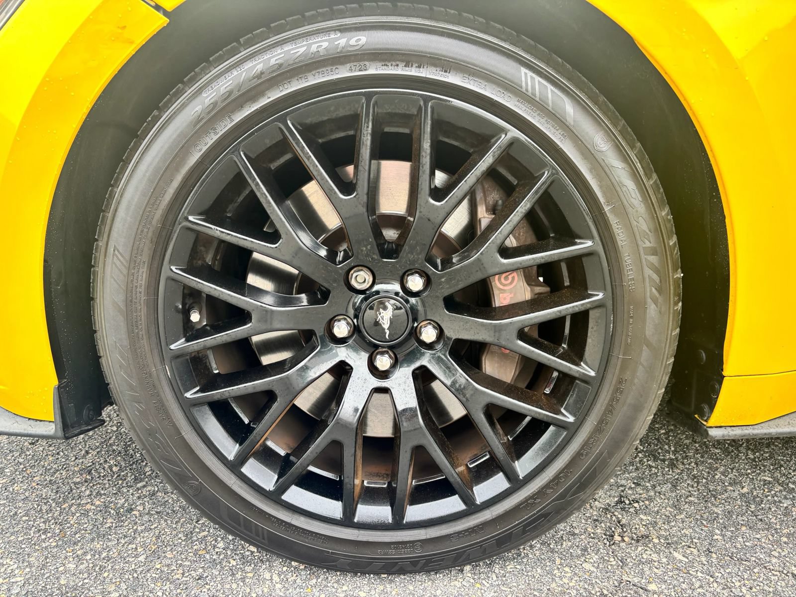 Used 2017 Ford Mustang GT w/ GT Performance Package RWD image 12