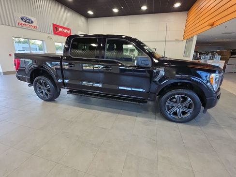 Used 2023 Ford F150 XLT w/ Equipment Group 302A High AWD/4WD image 7